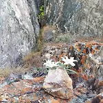 Drausport Greifenburg
