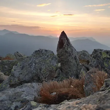 Drausport * 格赖芬堡