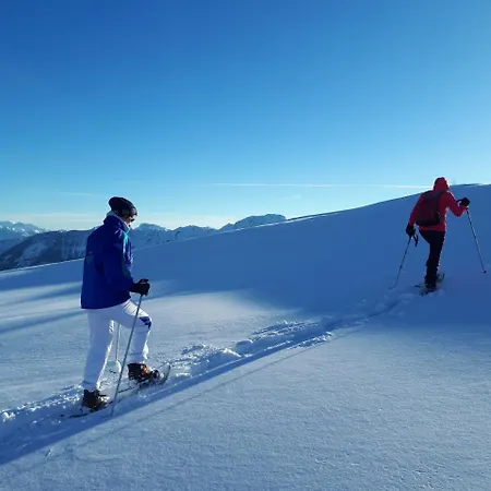 Drausport 公寓 格赖芬堡