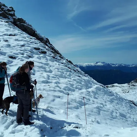 Drausport * Greifenburg