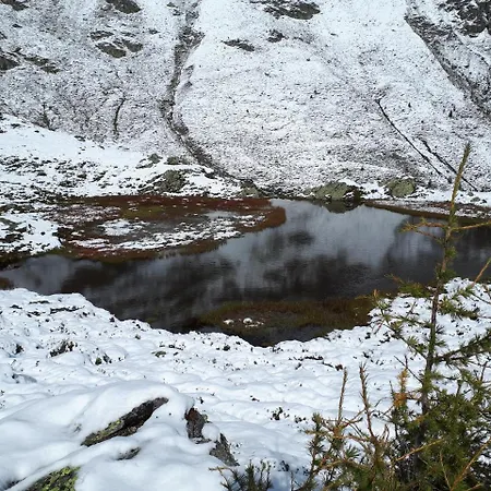 Drausport 格赖芬堡