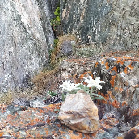 Drausport 格赖芬堡